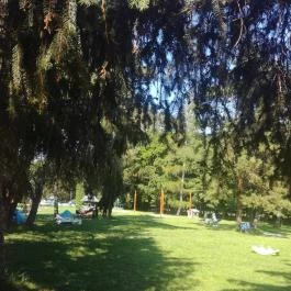 Borgáta Termálfürdő Borgáta - Egyéb