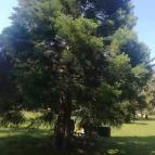 Borgáta Termálfürdő Borgáta - Egyéb