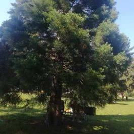 Borgáta Termálfürdő Borgáta - Egyéb