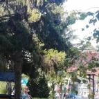 Borgáta Termálfürdő Borgáta - Egyéb