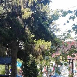 Borgáta Termálfürdő Borgáta - Egyéb