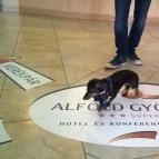 Alföld Gyöngye Hotel Orosháza - Belső