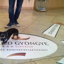 Alföld Gyöngye Hotel Orosháza - Belső