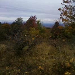 Grandhotel Galya Galyatető - Környék