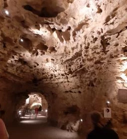 Tapolcai-tavasbarlang Látogatóközpont