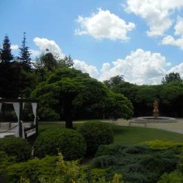 Belenus Thermalhotel Superior Zalakaros - Medence/kert