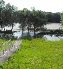 Hableány Hotel étterme