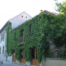 Gimi Panzió, Baja - Külső kép