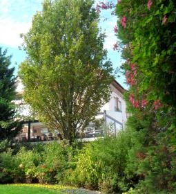 Liget Royal Restaurant