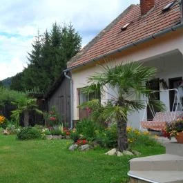 Pékház Apartman Bakonybél - Medence/kert