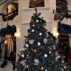 Taverna Zorbas Görög Étterem - Lövőház utca Budapest - Egyéb