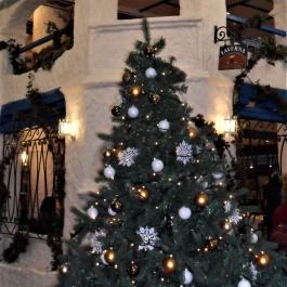 Taverna Zorbas Görög Étterem - Lövőház utca, Budapest - Egyéb