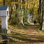 Hotel Bakony Bakonybél - Medence/kert