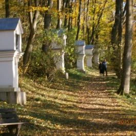 Hotel Bakony Bakonybél - Medence/kert