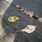 Hotel Bakony Bakonybél - Környék