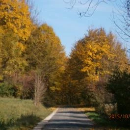 Hotel Bakony Bakonybél - Környék