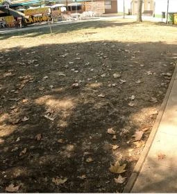 11. legjobb látnivaló: Hajdúszoboszlói Strand