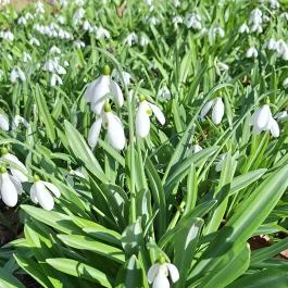 Alcsúti Arborétum, Alcsútdoboz - Külső kép