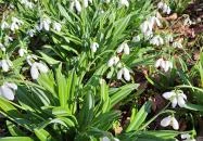 Alcsúti Arborétum Alcsútdoboz