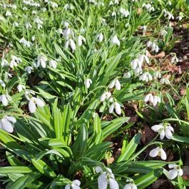 Alcsúti Arborétum, Alcsútdoboz - Külső kép