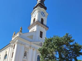 Címerdomb Kecskemét Címerdomb Kecskemét