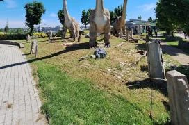DinoPark KÖKI Budapest Budapest