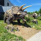 DinoPark KÖKI Budapest Budapest - Egyéb