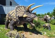 DinoPark KÖKI Budapest Budapest