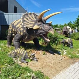 DinoPark KÖKI Budapest Budapest - Egyéb