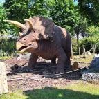 DinoPark KÖKI Budapest Budapest - Egyéb