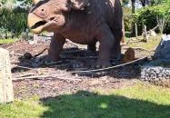 DinoPark KÖKI Budapest Budapest