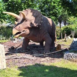 DinoPark KÖKI Budapest Budapest - Egyéb