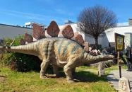 DinoPark KÖKI Budapest Budapest