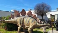 DinoPark KÖKI Budapest Budapest - Egyéb