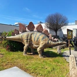 DinoPark KÖKI Budapest Budapest - Egyéb