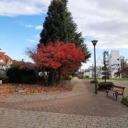 Dísz tér Zalakaros Zalakaros - Egyéb