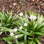 Égerösvény Zalakaros Zalakaros - Egyéb