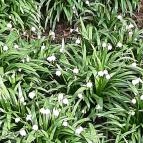 Égerösvény Zalakaros Zalakaros - Egyéb