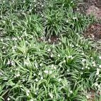 Égerösvény Zalakaros Zalakaros - Egyéb