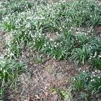 Égerösvény Zalakaros Zalakaros - Egyéb