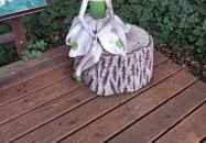 Égerösvény Zalakaros Zalakaros