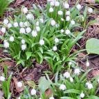 Égerösvény Zalakaros Zalakaros - Külső kép