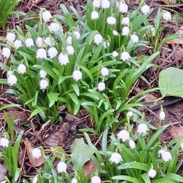 Égerösvény Zalakaros Zalakaros - Külső kép