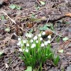 Égerösvény Zalakaros Zalakaros - Külső kép