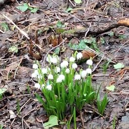 Égerösvény Zalakaros Zalakaros - Külső kép