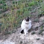 Sáfrány Kert és Egerszalóki Barlanglakások Egerszalók - Egyéb