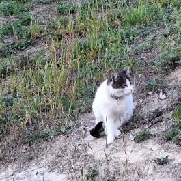 Sáfrány Kert és Egerszalóki Barlanglakások Egerszalók - Egyéb