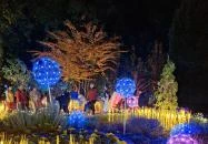 Garden of Lights Budapest - ELTE Füvészkert Budapest