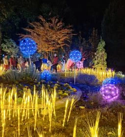 Garden of Lights Budapest - ELTE Füvészkert