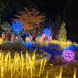 Garden of Lights Budapest - ELTE Füvészkert Budapest - Egyéb